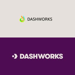Brand And Website Redesign For Dashworks cover image