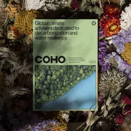 Brand Identity For Global Climate Adviser Coho cover image