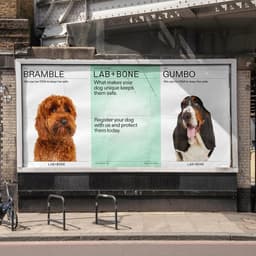 Brand Identity And Packaging For Lab+bone cover image