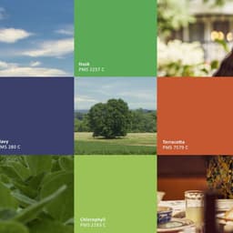 Adm - LPK design work cover image