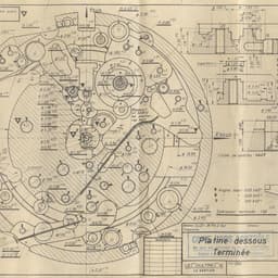 Digital Publication Design For Ap Chronicles cover image