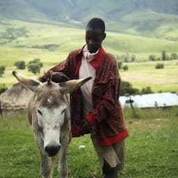 Brand Identity For Woah cover image