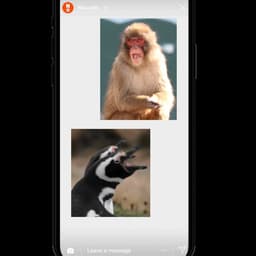 Exhibition Campaign For Naturalis Biodiversity Center cover image