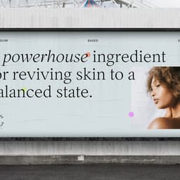 Brand Refresh For The Base Collective cover image