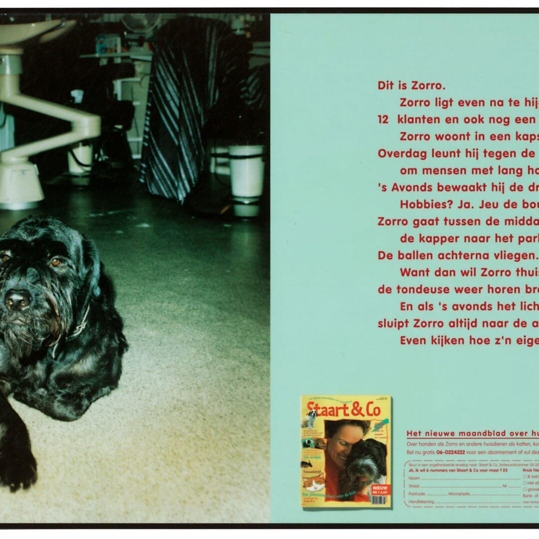 Print Campaign For Staart & Co. Dogs