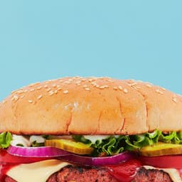 Brand Identity And Packaging For Plantein cover image