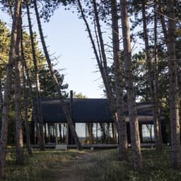 Naming And Communications Platform For D Line’s Sustainability Initiative cover image