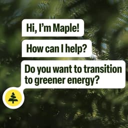 Brand Identity For Pets cover image