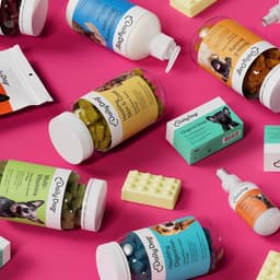 Brand Identity For Daily Dog cover image