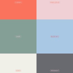 Branding For Toms In Town cover image