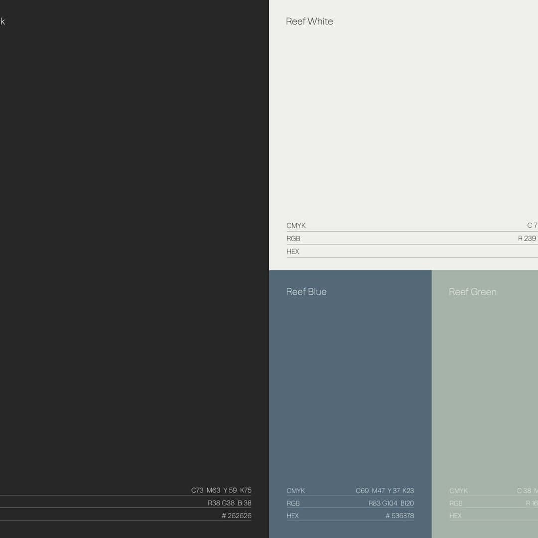 Brand Identity And Website Design For Reef + Partners