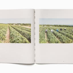 Publication Design For Australian Artist Drew Waters cover image