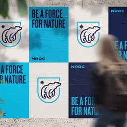 Campaign Identity For The Natural Resources Defense Council cover image