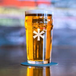 Branding And Packaging For Buddy-buddy Studio cover image