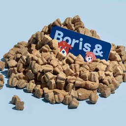 Brand Identity For Cutlets Sandwich Co cover image