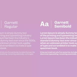 Brand Identity For Sweet Chick Restaurant Chain cover image