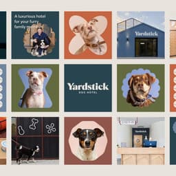 Naming And Brand Identity For A Boutique Dog Hotel cover image