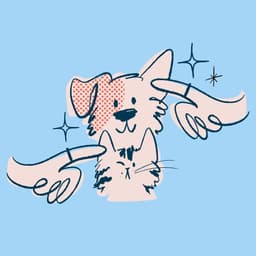 Brand Identity And Packaging For Flydog Pet Grooming Startup cover image