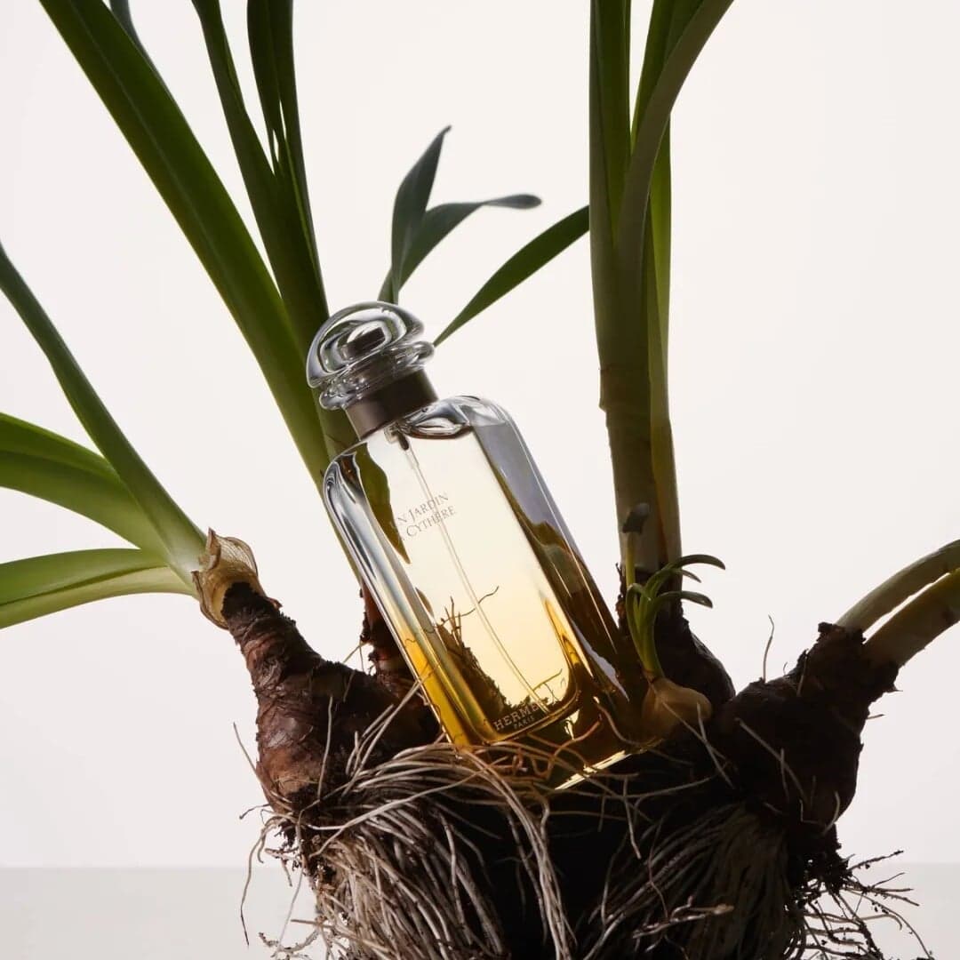 Still Life Photography For Mint Magazine