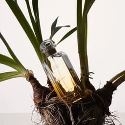 Still Life Photography For Mint Magazine cover image