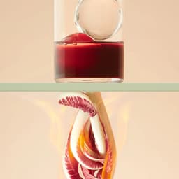 Still Life Photography For H.theoria Winter Collection cover image