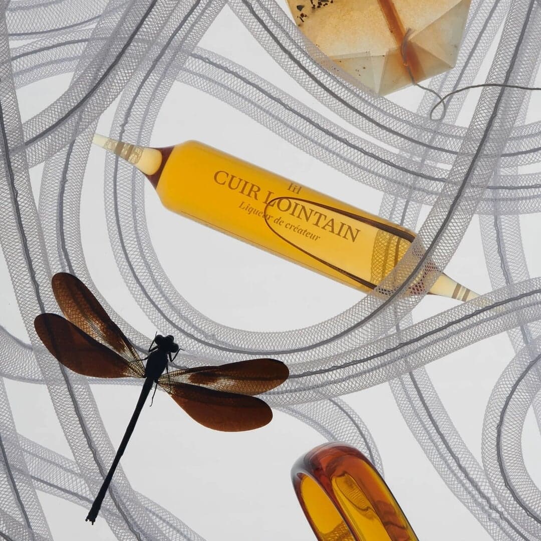 Still Life Photography For Theoria