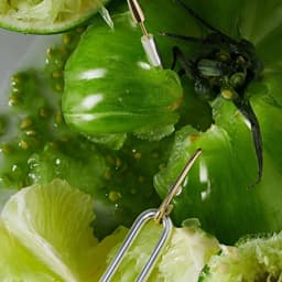 Editorial Photography For Mint Magazine cover image