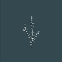 Naming And Branding For A Natural Skincare Company cover image