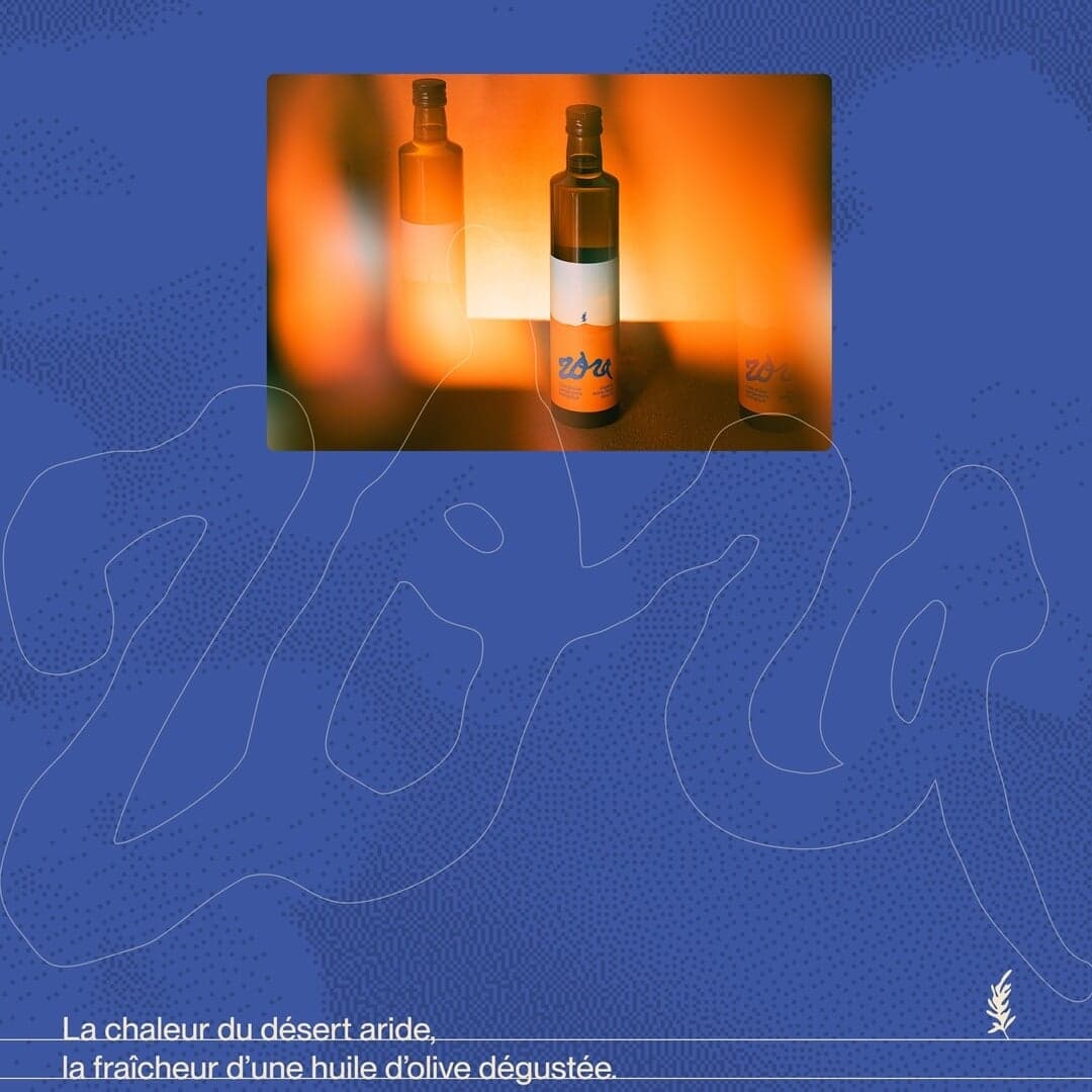 Visual Identity For Huile Zora Olive Oil Brand