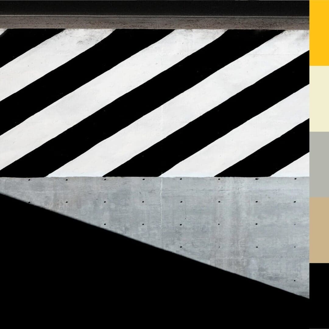 Corporate Design For Monz Apparel