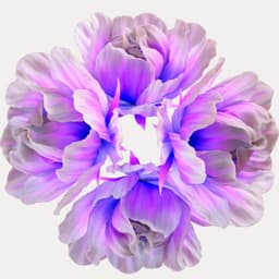 3d Projection Mapping For Vivid Sydney 2023 cover image