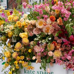 Integrated Campaign And Brand Identity For Divvy cover image