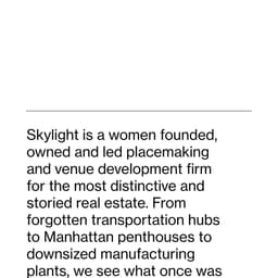 Brand Identity And Website Redesign For Skylight Venues cover image