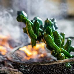 Brand Identity For Nela Restaurant cover image