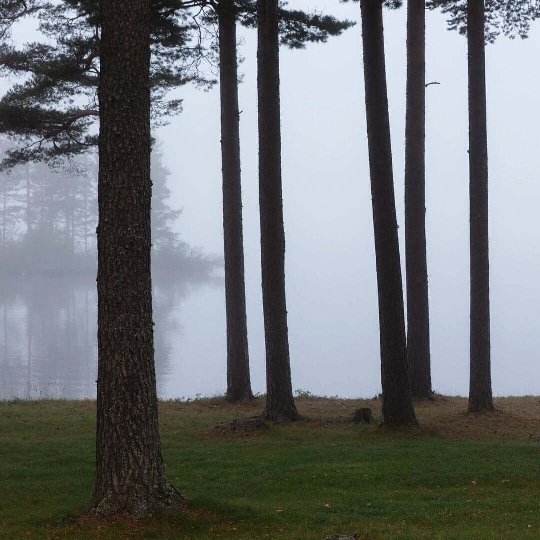 Brand Identity System For Tällbergsgruppen Hotels