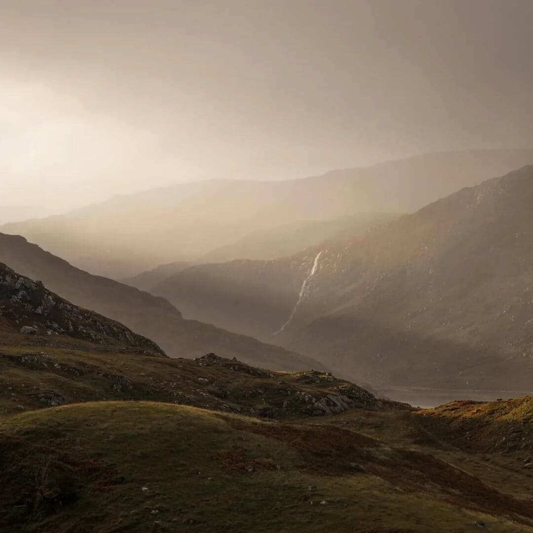 Rebranding For Brown & Brown