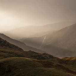 Rebranding For Brown & Brown cover image