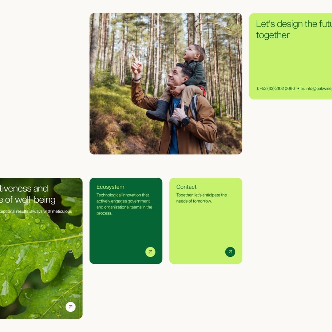 Naming And Web Design For Oakwise Consulting Firm