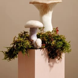 Brand Identity For Botanist Restaurant At Fairmont Pacific Rim cover image