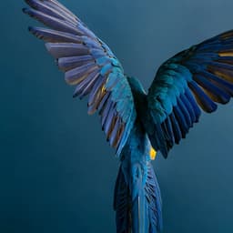 Brand Identity For Loula's Taverna cover image