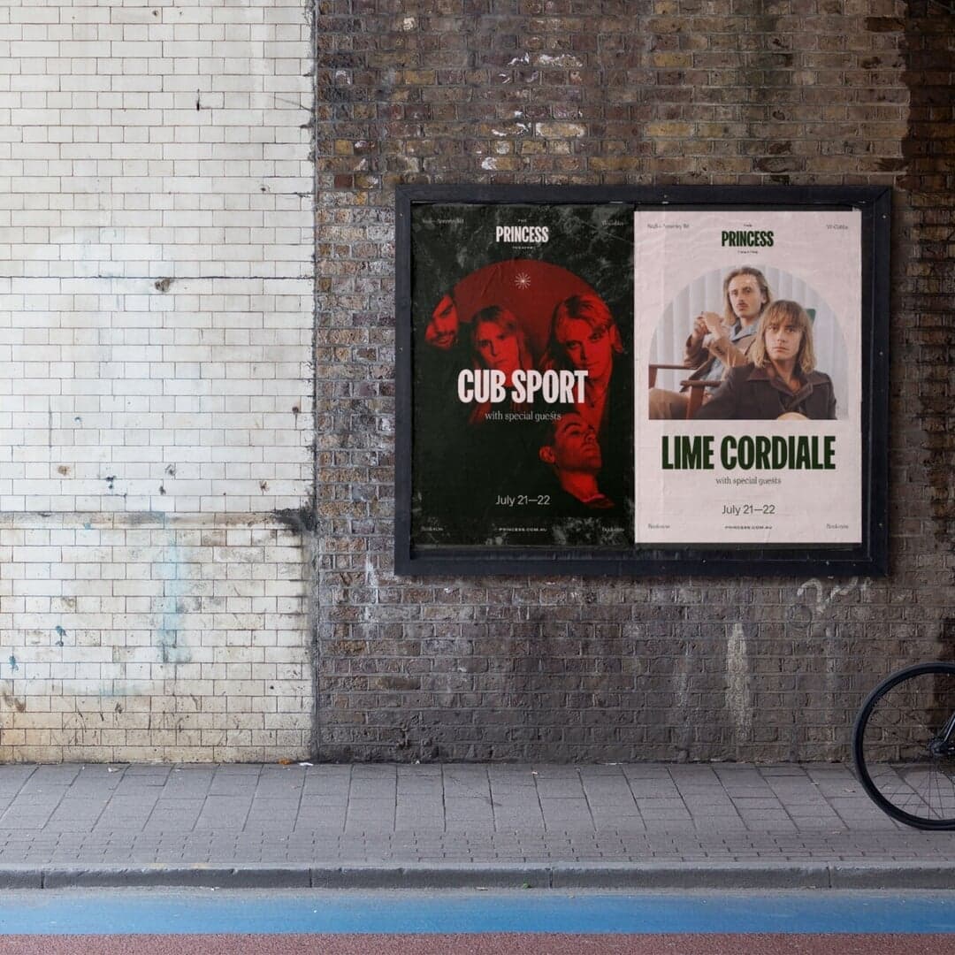 Brand Identity And Website For The Princess Theatre