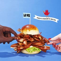 Brand Identity And Packaging For A Plant-based Food-tech Startup cover image