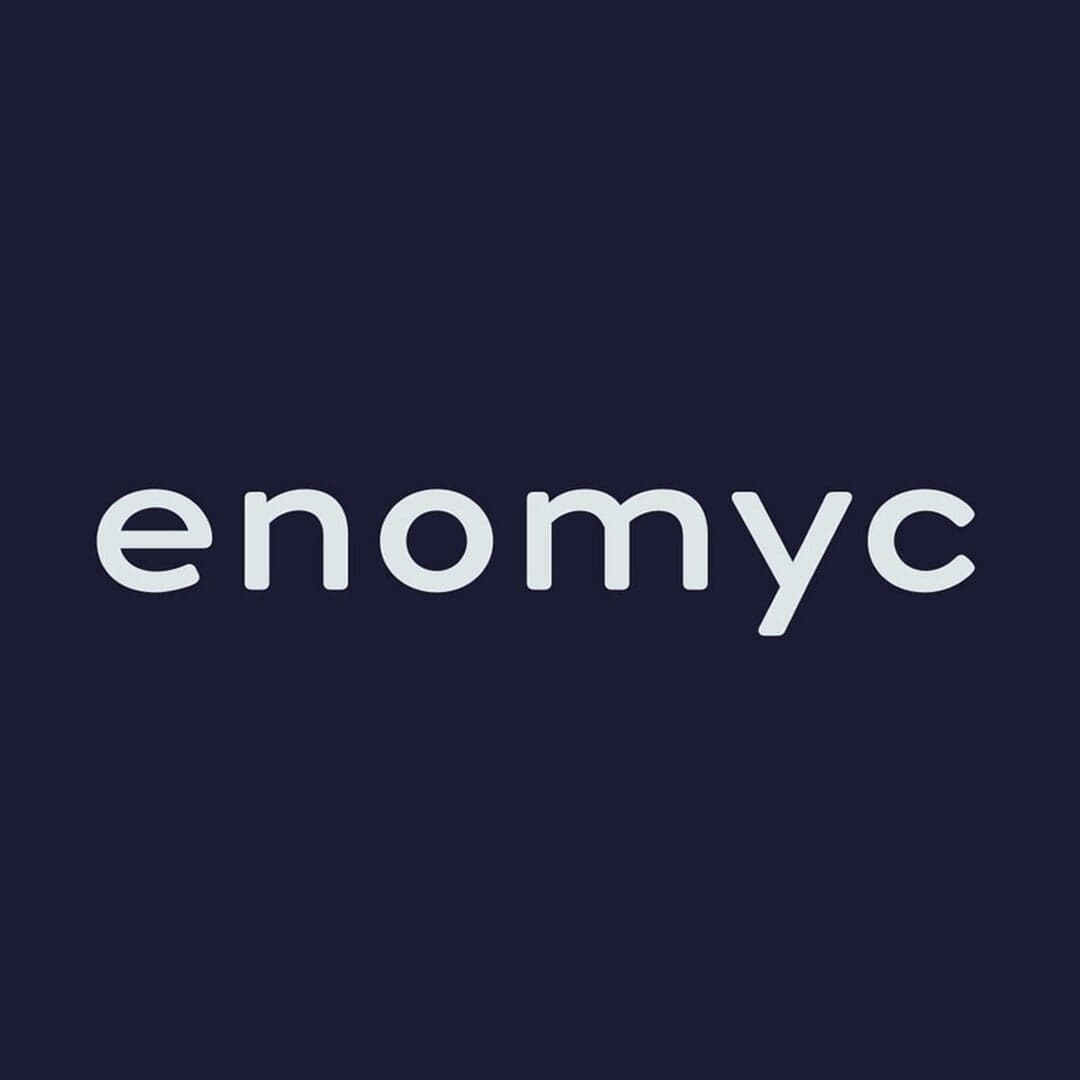 Comprehensive Rebranding For Consulting Firm Enomyc