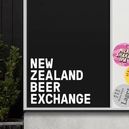 Brand Identity For Nzbex cover image