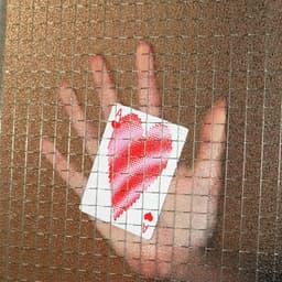 Design Case - Meat design work cover image