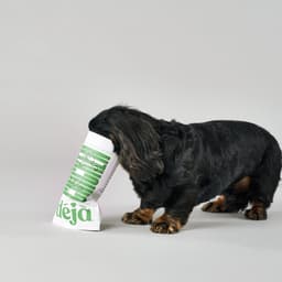 Brand And Packaging Design For A Sustainable Pet Food Company cover image