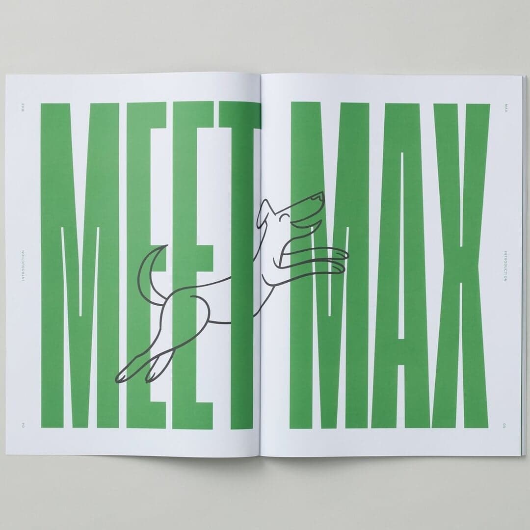 Custom Typeface Design For Déjà Pet Food