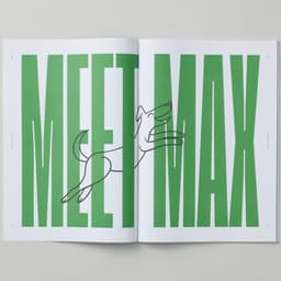 Custom Typeface Design For Déjà Pet Food cover image