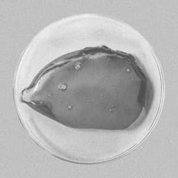 Sustainable Packaging Design For Kurppa Hosk cover image