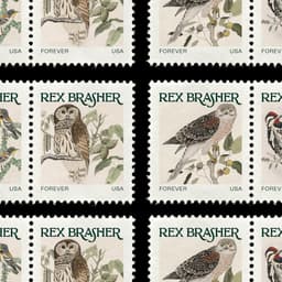 Identity Design For The Rex Brasher Association cover image